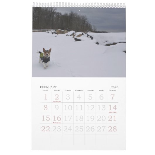 Loki 2020 Calendar Kalender (Feb 2026)