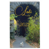 Loki 2025 kalender (Hoes)