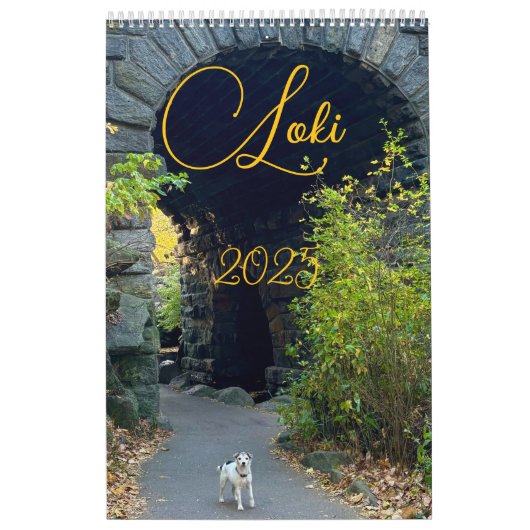 Loki 2025 kalender (Hoes)