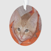 Loki in het Oranje en wit Ornament (voorkant)