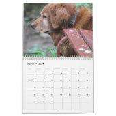 Loki Kalender (Mar 2026)