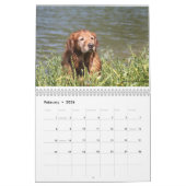 Loki Kalender (Feb 2026)