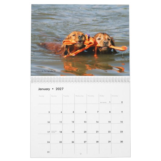 Loki Kalender (Jan 2027)