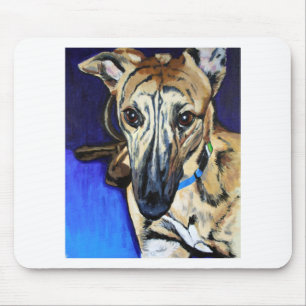 Loki - Lurcher dog Muismat