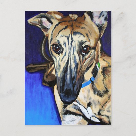 Loki - Lurcher hond Briefkaart (Voorkant)