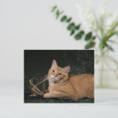 Loki met sled briefkaart (Staand voorkant)