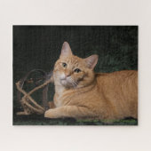 Loki met sled legpuzzel (Horizontaal)