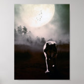 loki wolfdog 2 poster (Voorkant)