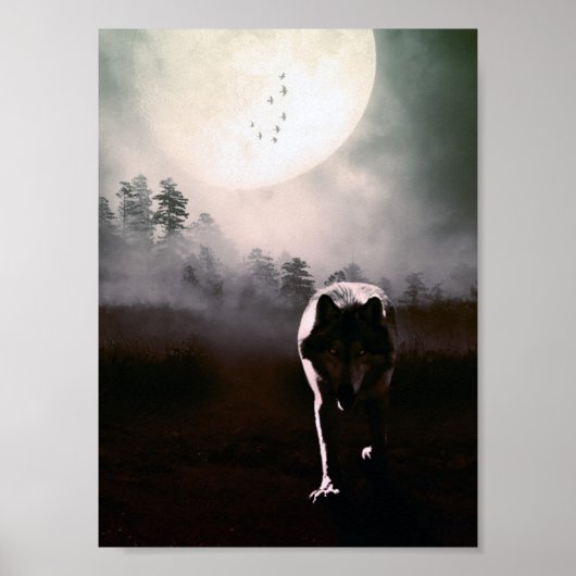 loki wolfdog 2 poster (Voorkant)