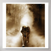 Loki wolfdog poster (Voorkant)