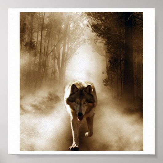Loki wolfdog poster (Voorkant)