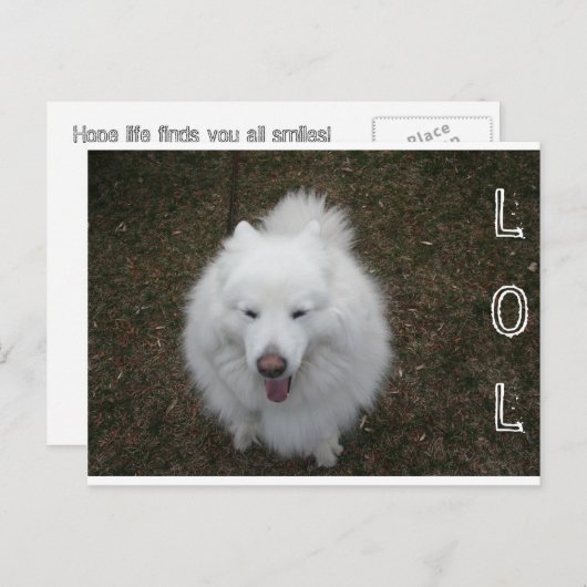 LOL BRIEFKAART (Voorkant / Achterkant)