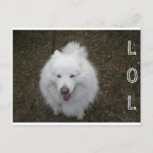 LOL BRIEFKAART (Voorkant)