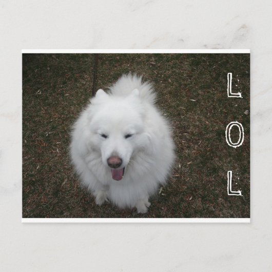 LOL BRIEFKAART (Voorkant)