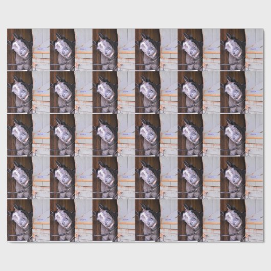 LOL CADEAUPAPIER (Vlak)