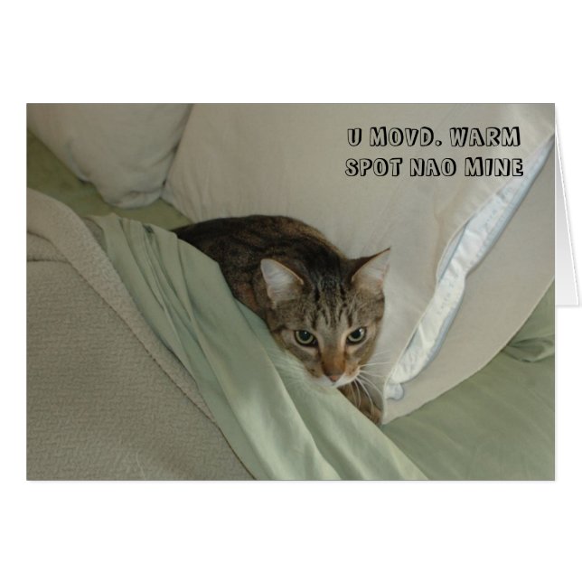 LOL Cat-kaart (Voorkant Horizontaal)