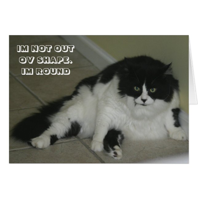 LOL Cat-kaart (Voorkant Horizontaal)