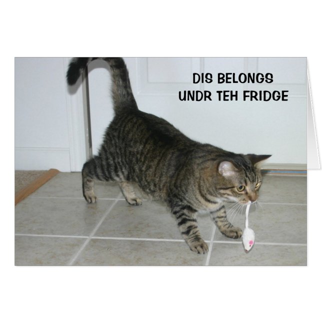 LOL Cat-kaart (Voorkant Horizontaal)