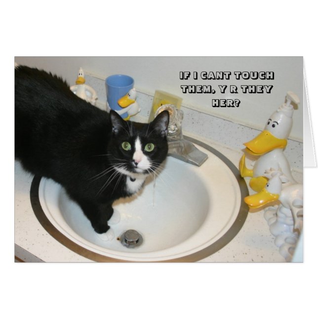 LOL Cat-kaart (Voorkant Horizontaal)