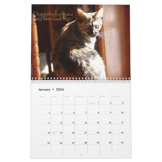 LOL Cats 2008 Calendar Kalender (Jan 2026)