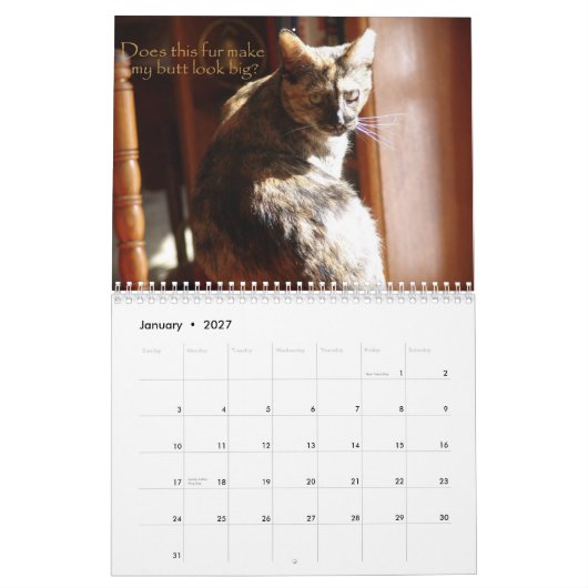 LOL Cats 2008 Calendar Kalender (Jan 2027)