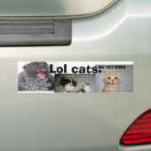 Lol Cats Bumpersticker (Op auto)