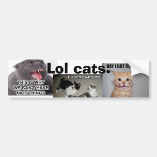 Lol Cats Bumpersticker