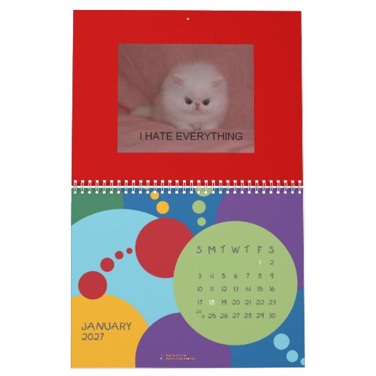 LOL Cats Calender Kalender (Jan 2027)