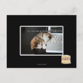 Lol cats with USB Briefkaart (Voorkant)