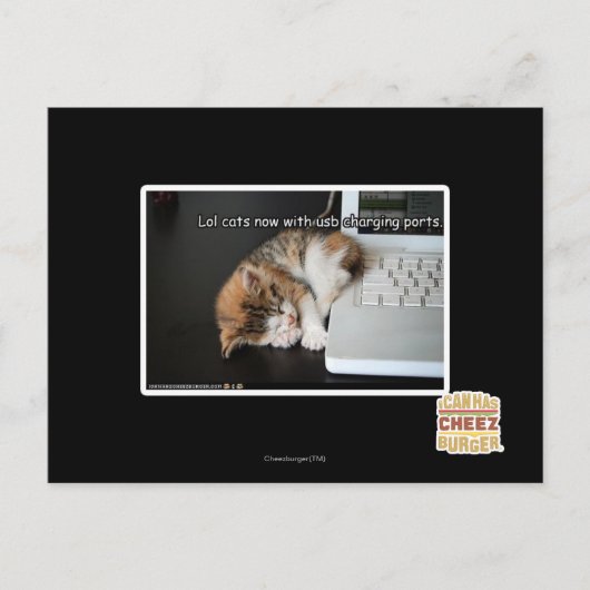 Lol cats with USB Briefkaart (Voorkant)