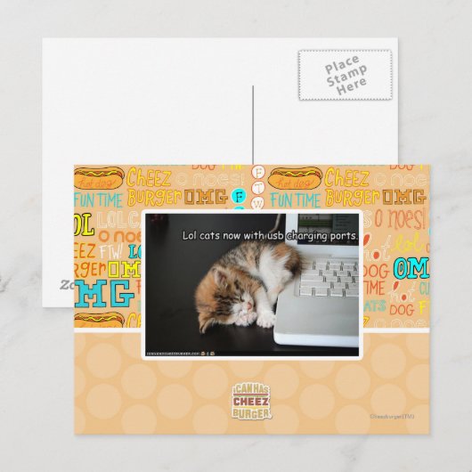 Lol cats with USB Briefkaart (Voorkant / Achterkant)