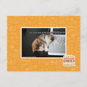 Lol cats with USB Briefkaart