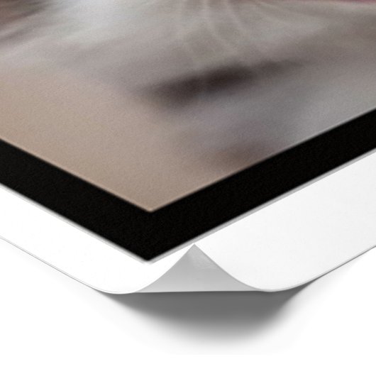 LOL, ik ben gevlucht. Poster (Hoek)