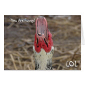 LOL, je bent grappig! (Voorkant Horizontaal)