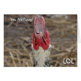 LOL, je bent grappig!