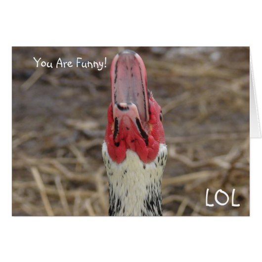 LOL, je bent grappig! (Voorkant Horizontaal)