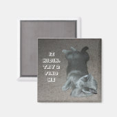 lol-kat magneet (Voorkant / Achterkant)