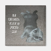 lol-kat magneet (Voorkant)