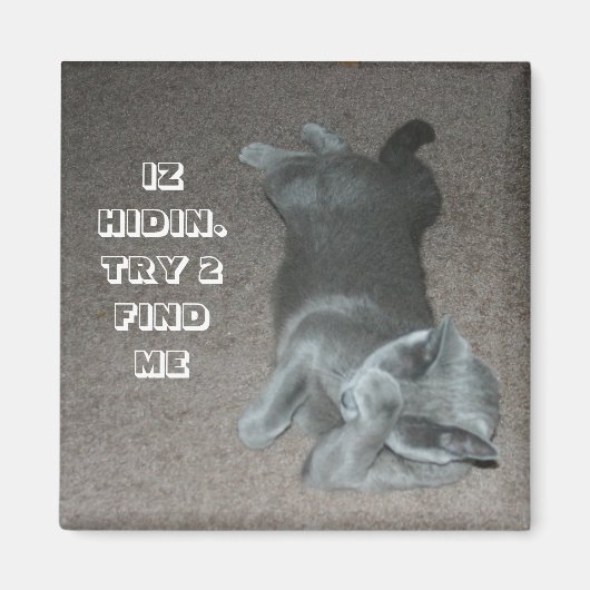 lol-kat magneet (Voorkant)