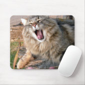 LOL Maine Coon Muismat (Met muis)