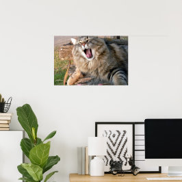 LOL Maine Coon Poster