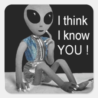 LOL - Op geadresseerde post of naast een afbeeldin Vierkante Sticker