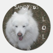 LOL RONDE STICKER (Voorkant)