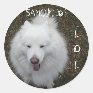 LOL RONDE STICKER