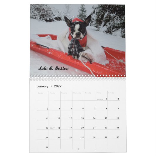 Lola B. Boston 2015 Agenda Kalender (Jan 2027)