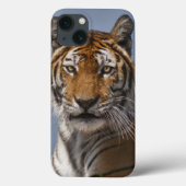 Lola iPad draagtas Case-Mate iPhone Case (Achterkant)