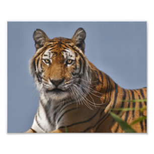 Lola Print Foto Afdruk