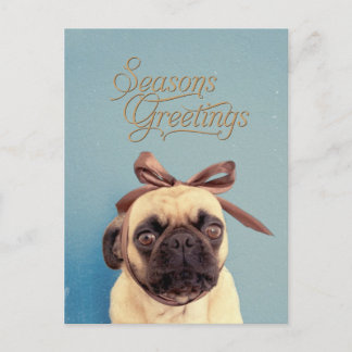 Lola with bow briefkaart