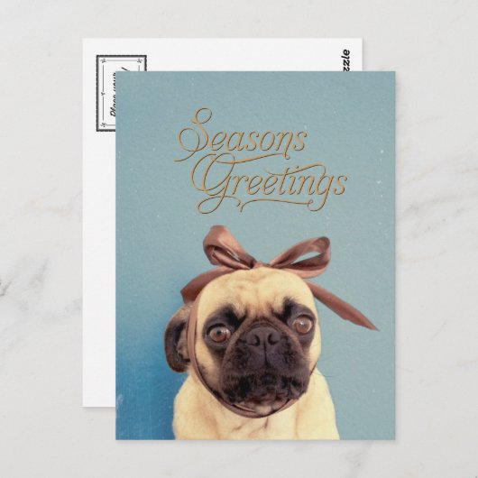 Lola with bow briefkaart (Voorkant / Achterkant)