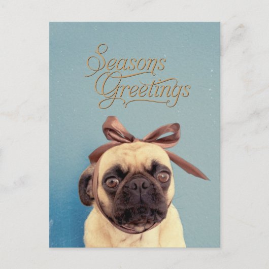 Lola with bow briefkaart (Voorkant)